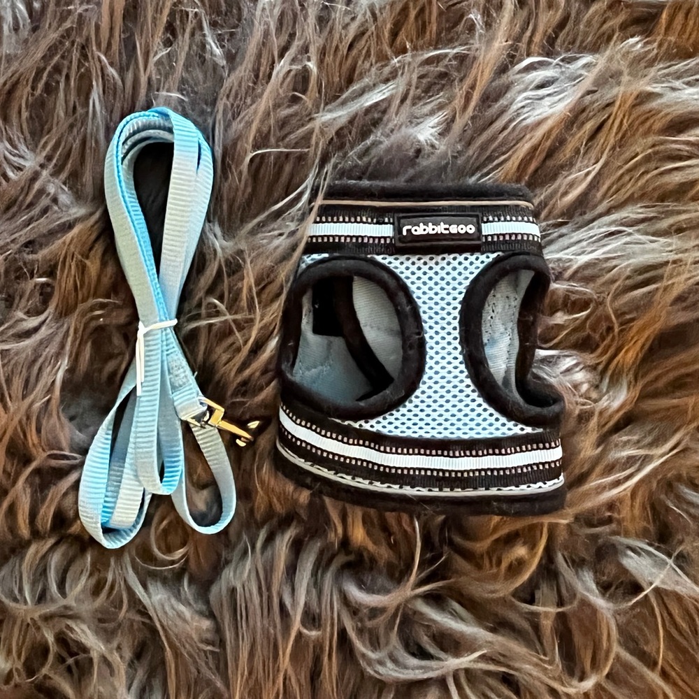 Kitten Harness & Leash ( baby blue )